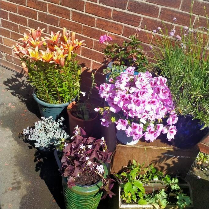 Garden Apartment Morpeth- With Lockable Bike Storage! Εξωτερικό φωτογραφία